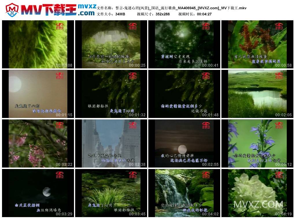 誓言-鬼迷心窍(风景)_国语_流行歌曲_MA406945